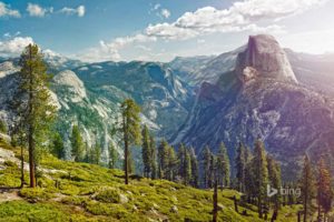 mountains, Scenery, Usa, Parks, Trees, Yosemite, Nature