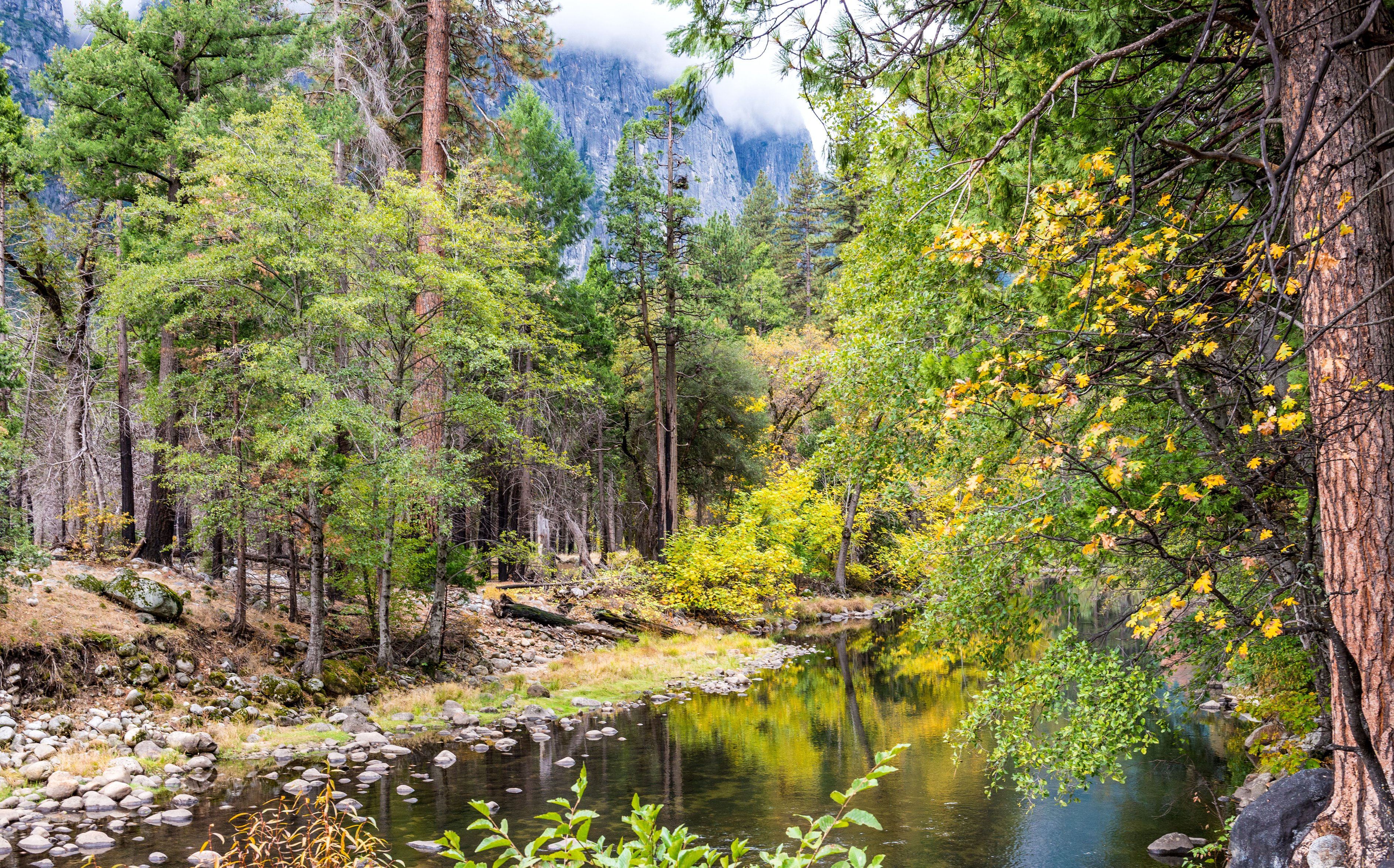 usa, Parks, Forests, Rivers, Yosemite, California, Trees, Nature Wallpaper
