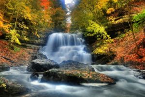 autumn, Forests, Waterfalls, Rivers, Nature