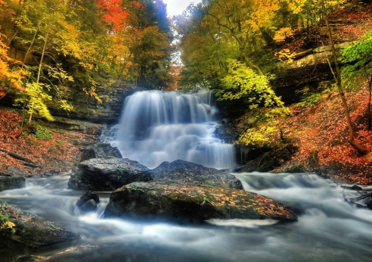 autumn, Forests, Waterfalls, Rivers, Nature HD Wallpaper Desktop Background