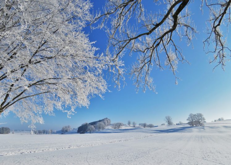 winter, Branches, Snow, Nature HD Wallpaper Desktop Background