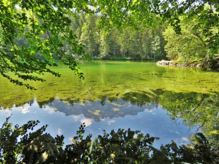 germany, Lake, Lake, Constance, Nature HD Wallpaper Desktop Background