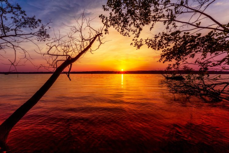 sunrises, And, Sunsets, Lake, Branches, Nature HD Wallpaper Desktop Background
