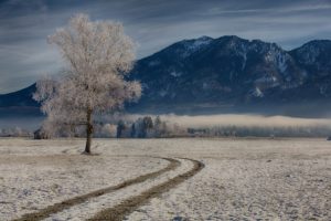 germany, Mountains, Roads, Bavaria, Trees, Snow, Nature