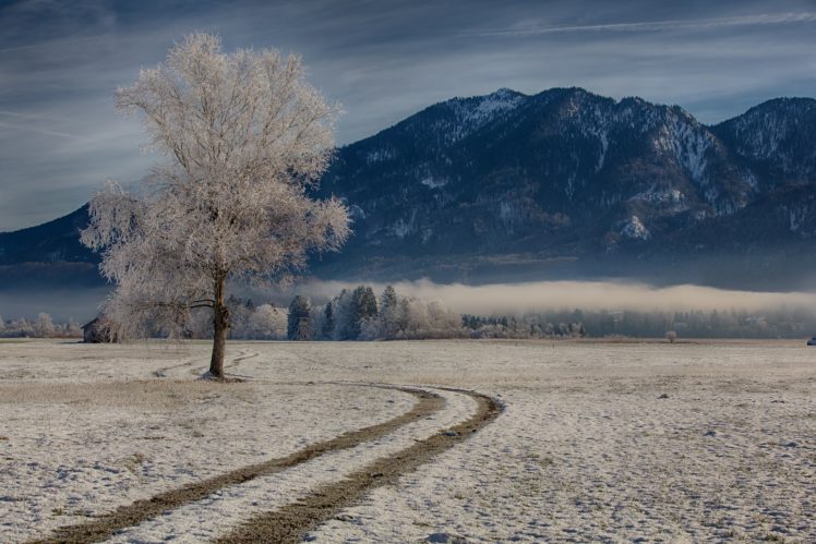 germany, Mountains, Roads, Bavaria, Trees, Snow, Nature HD Wallpaper Desktop Background