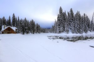 winter, Canada, Snow, Trees, Louise, Yoho, Nature