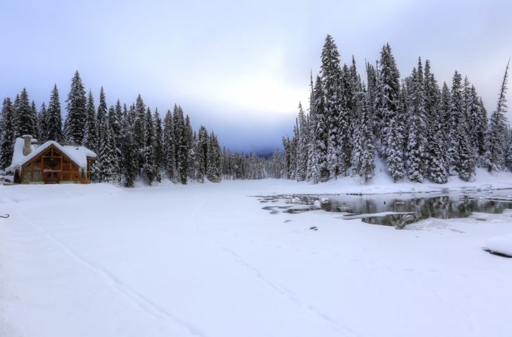 winter, Canada, Snow, Trees, Louise, Yoho, Nature HD Wallpaper Desktop Background