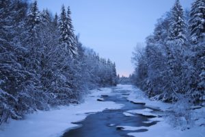 finland, Rivers, Winter, Forests, Snow, Trees, Nature