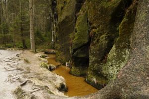 czech, Republic, Parks, Crag, Stream, Moss, Dolni, Adrspach, Nature