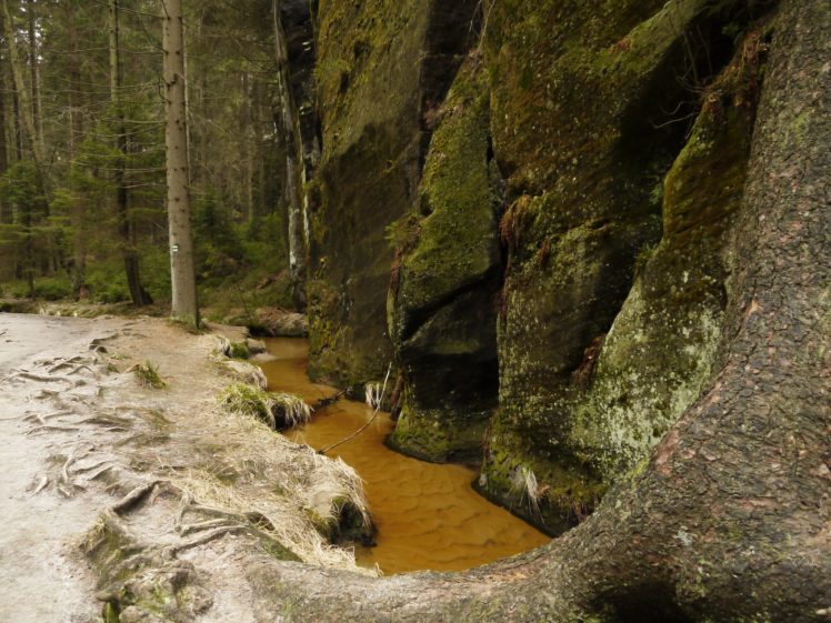 czech, Republic, Parks, Crag, Stream, Moss, Dolni, Adrspach, Nature HD Wallpaper Desktop Background