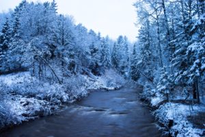 rivers, Forests, Winter, Trees, Negroid, Nature