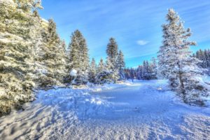 winter, Canada, Rivers, Snow, Trees, Alberta, Nature