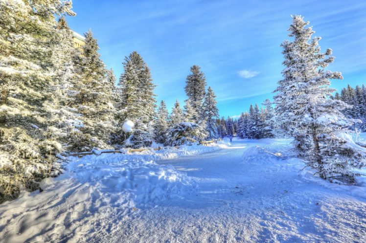 winter, Canada, Rivers, Snow, Trees, Alberta, Nature HD Wallpaper Desktop Background