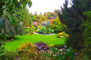 canada, Gardens, Vancouver, Lawn, Fir, Shrubs, Queen, Elizabeth, Garden, Nature