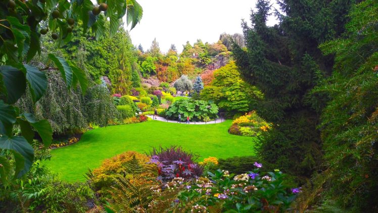canada, Gardens, Vancouver, Lawn, Fir, Shrubs, Queen, Elizabeth, Garden, Nature HD Wallpaper Desktop Background