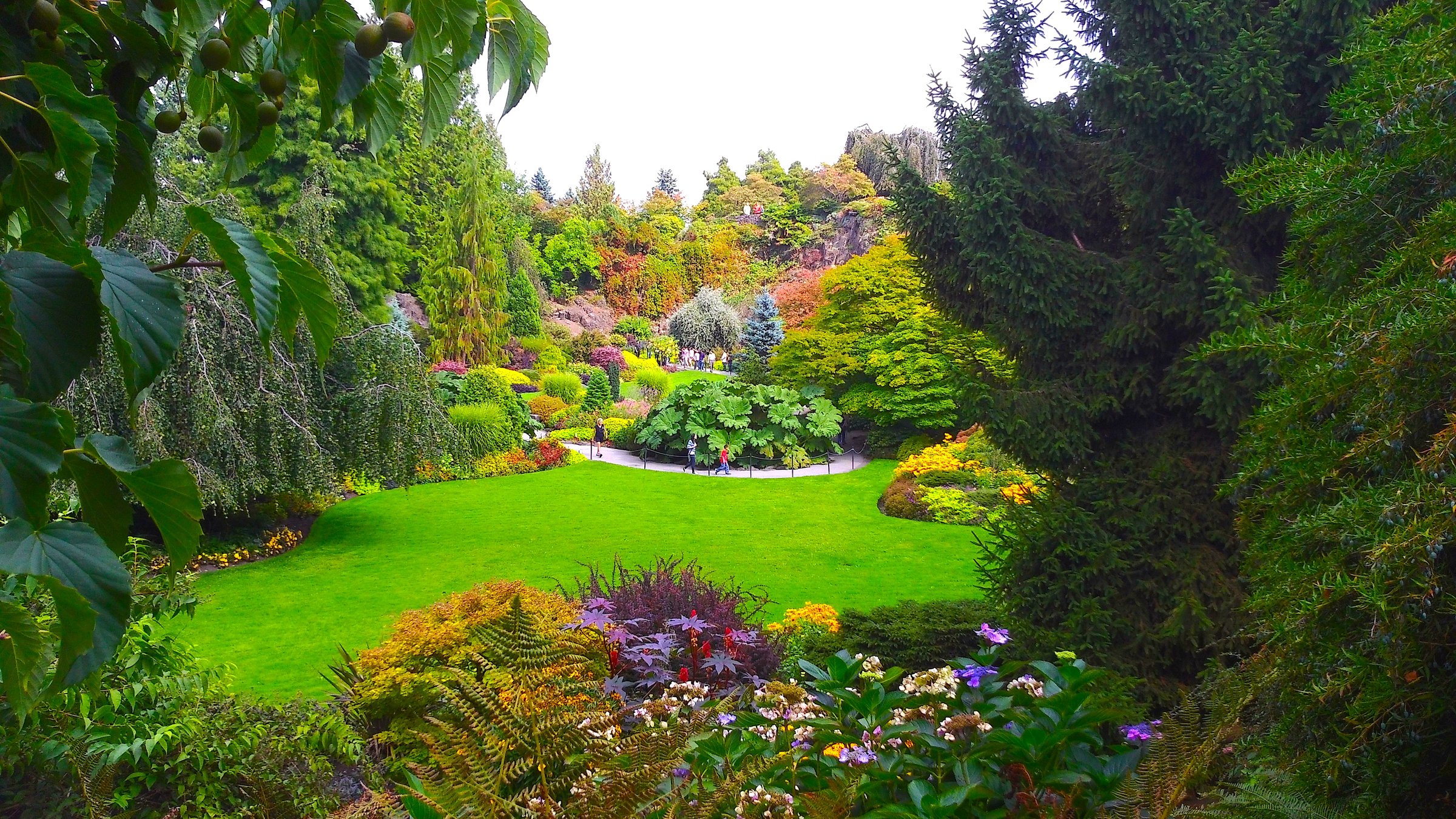 canada, Gardens, Vancouver, Lawn, Fir, Shrubs, Queen, Elizabeth, Garden, Nature Wallpaper