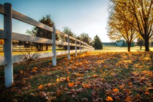 autumn, Fence, Trees, Grass, Nature