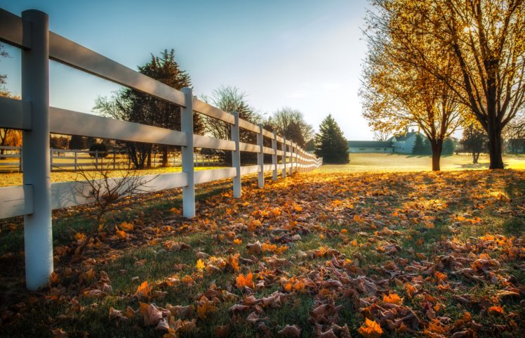 autumn, Fence, Trees, Grass, Nature HD Wallpaper Desktop Background