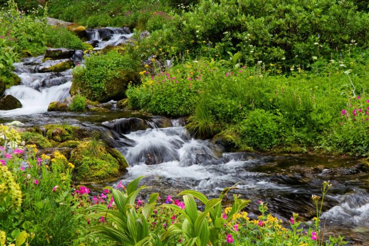 usa, Parks, Waterfalls, Stream, Mount, Rainier, National, Park, Nature HD Wallpaper Desktop Background