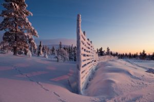 winter, Snow, Fence, Nature