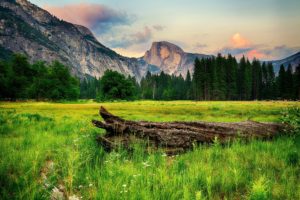 usa, Parks, Mountains, Forests, Scenery, Yosemite, Grass, Nature