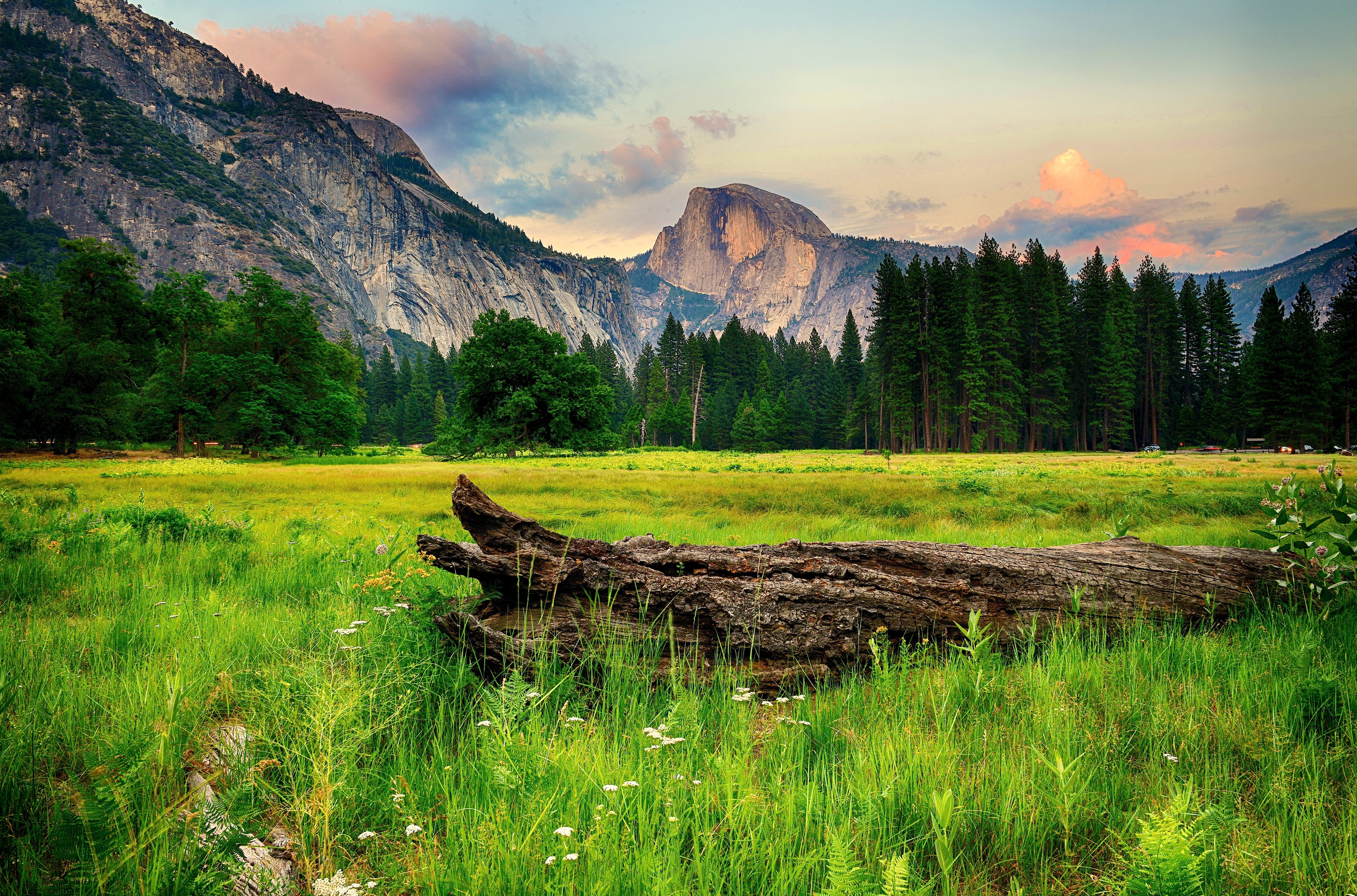 usa, Parks, Mountains, Forests, Scenery, Yosemite, Grass, Nature Wallpaper