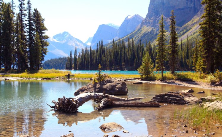 canada, Parks, Lake, Scenery, Fir, Maligne, Lake, Jasper, Nature HD Wallpaper Desktop Background
