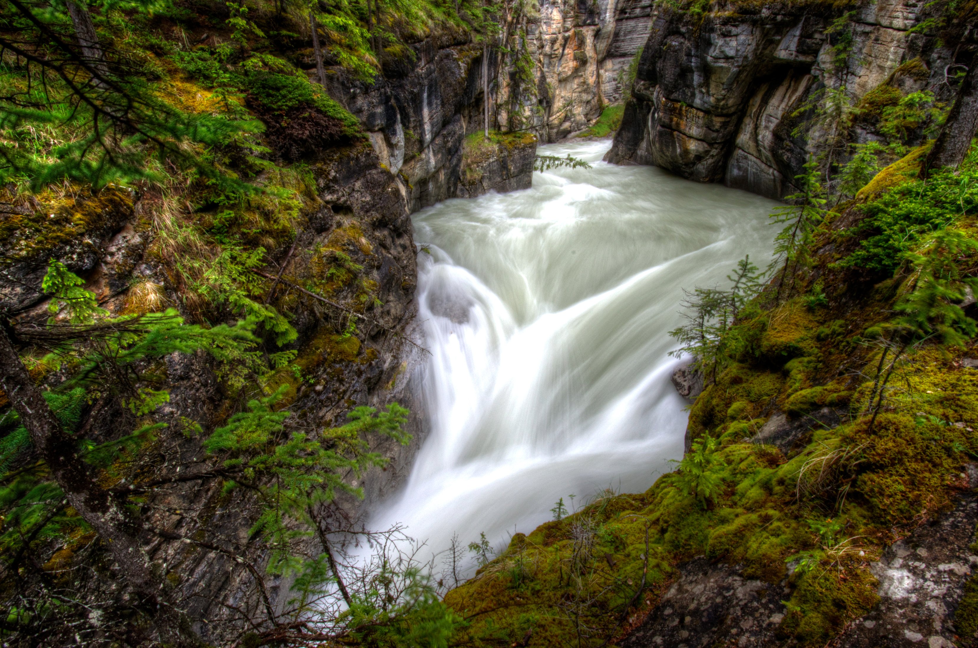 canada, Parks, Waterfalls, Canyon, Moss, Maligne, Canyon, Jasper, National, Park, Nature Wallpaper