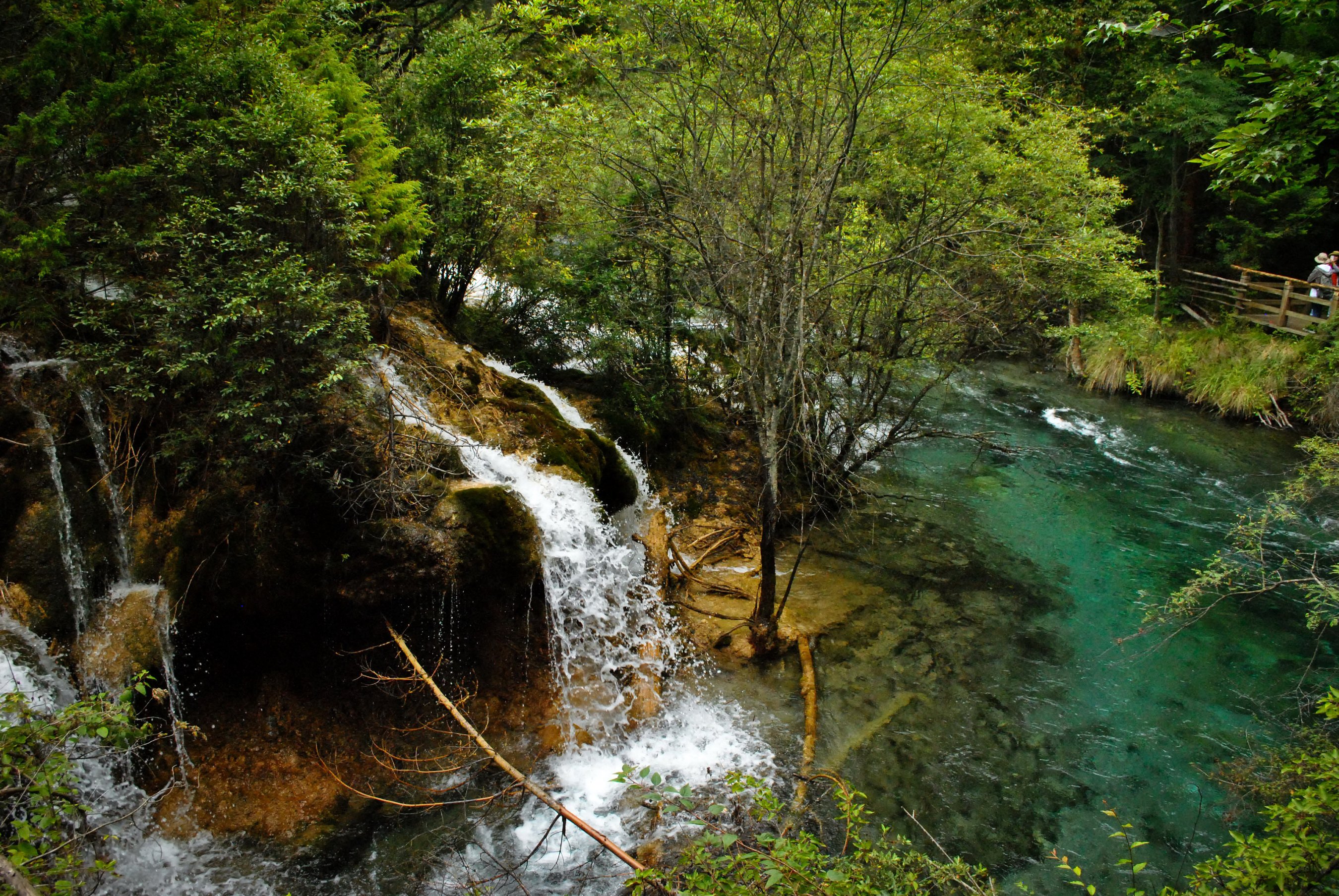 china, Parks, Waterfalls, Trees, Jiuzhaigou, National, Park, Nature Wallpaper