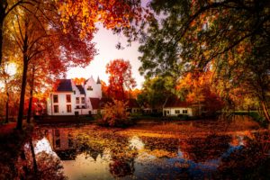 autumn, Pond, Houses, Trees, Nature