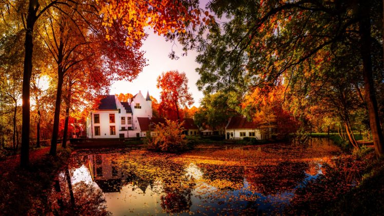 autumn, Pond, Houses, Trees, Nature HD Wallpaper Desktop Background