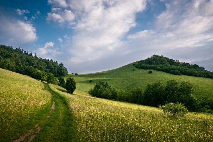 grasslands, Scenery, Trail, Clouds, Nature HD Wallpaper Desktop Background