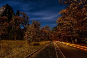 roads, Sky, Autumn, Night, Trees, Motion, Nature