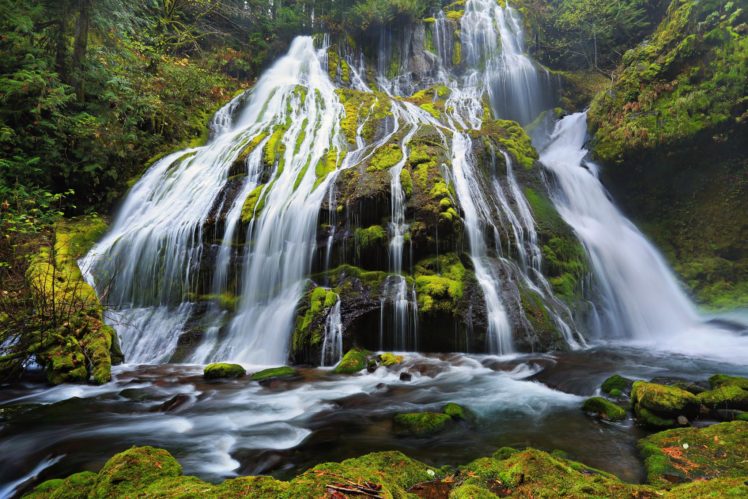 waterfalls, Moss, Panther, Creek, Falls, Columbia, River, Gorge, Oregon, Nature HD Wallpaper Desktop Background