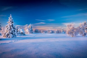 winter, Sky, Scenery, Snow, Fir, Trees, Nature