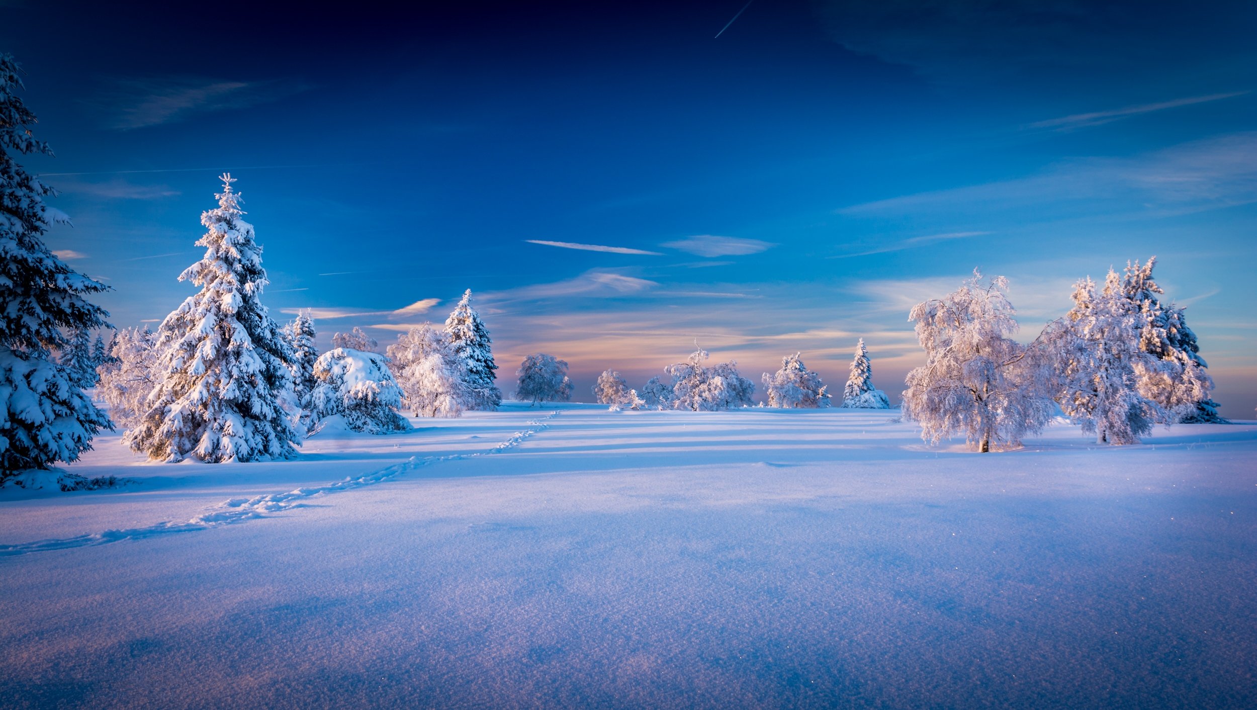winter, Sky, Scenery, Snow, Fir, Trees, Nature Wallpaper