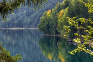 germany, Bavaria, Lake, Eibsee, Nature