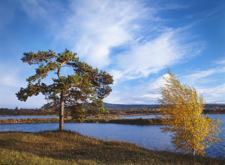 russia, Rivers, Sky, Trees, Siberia, Nature HD Wallpaper Desktop Background