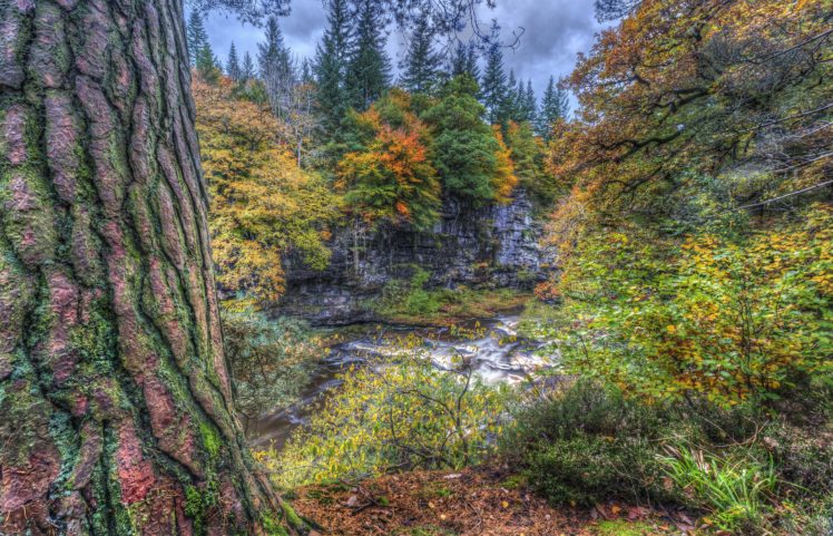 scotland, Rivers, Hdr, Trunk, Tree, Trees, Clyde, Valley, Woodlands, Nature HD Wallpaper Desktop Background