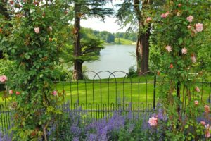 united, Kingdom, Parks, Rivers, Roses, Fence, Oxfordshire, Gardens, Nature