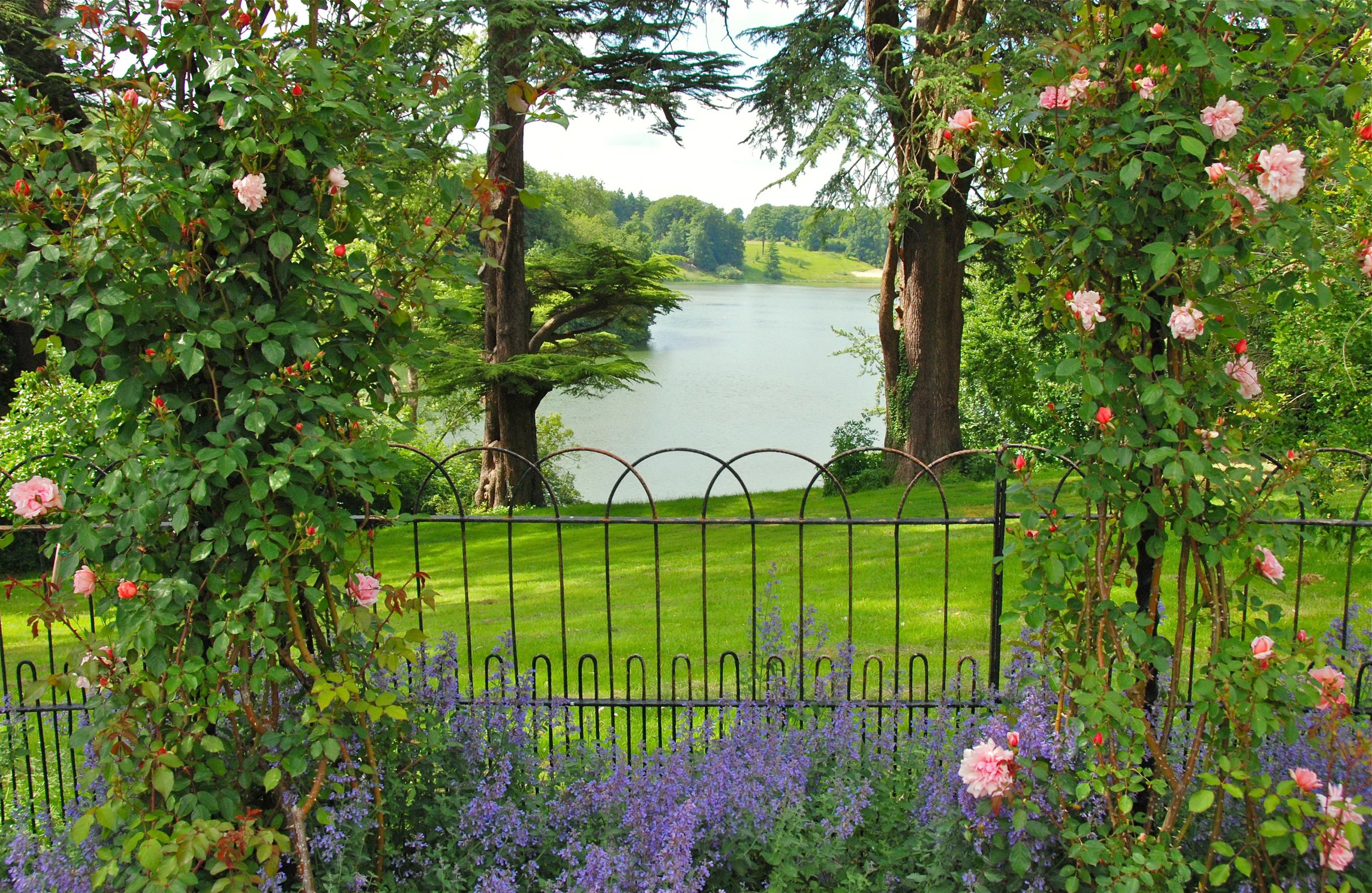 united, Kingdom, Parks, Rivers, Roses, Fence, Oxfordshire, Gardens, Nature Wallpaper