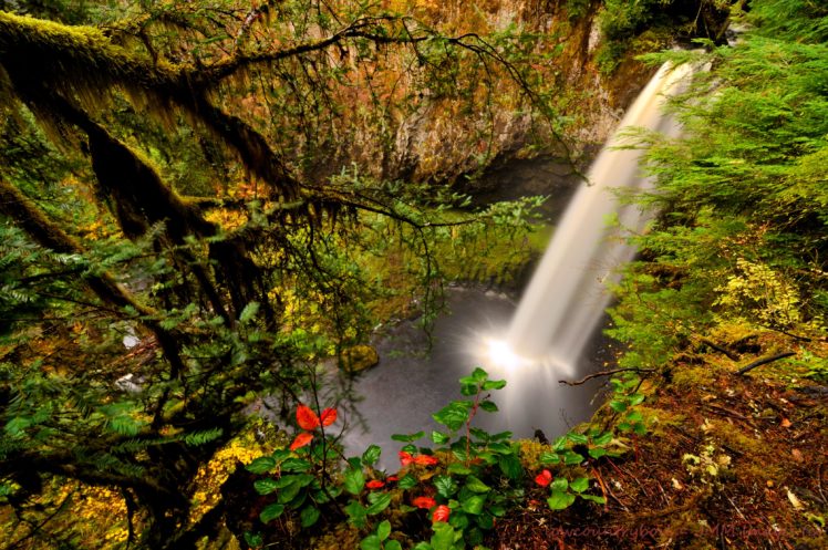 usa, Waterfalls, Washington, Branches, Nature HD Wallpaper Desktop Background