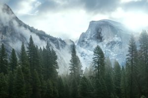 usa, Mountains, California, Yosemite, Nevada, Trees, Sierra, Nature
