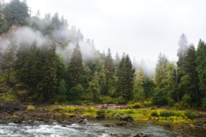 usa, Forests, Rivers, Washington, Fog, Snoqualmie, Falls, Nature