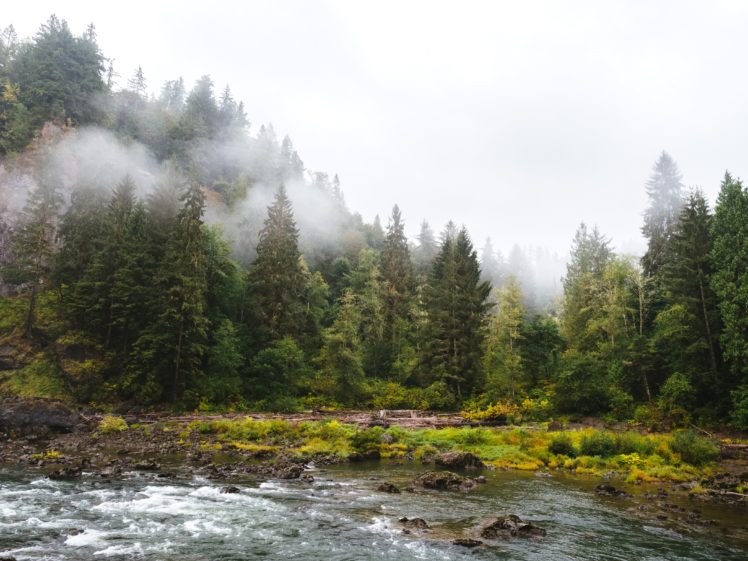 usa, Forests, Rivers, Washington, Fog, Snoqualmie, Falls, Nature HD Wallpaper Desktop Background