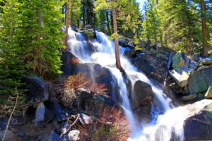 usa, Parks, Waterfalls, Stones, Yosemite, Trees, Nature