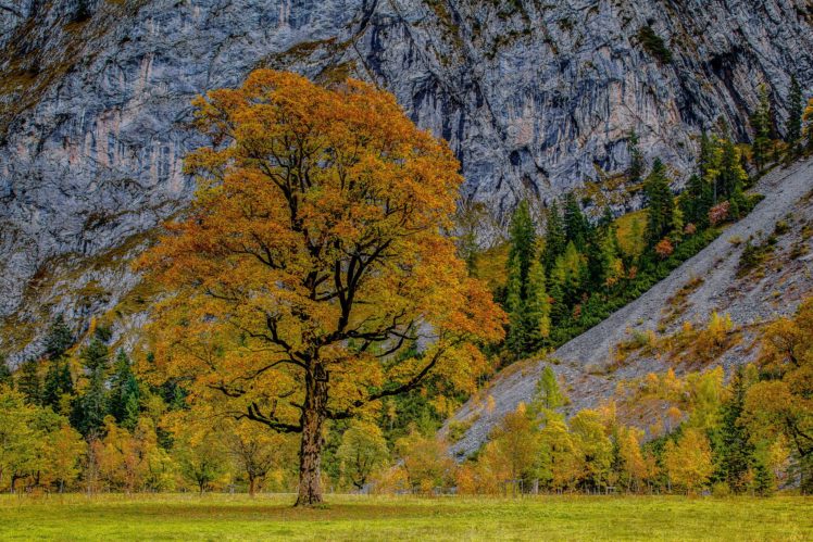 austria, Mountains, Autumn, Trees, Hdr, Alps, Karwendel, Nature HD Wallpaper Desktop Background