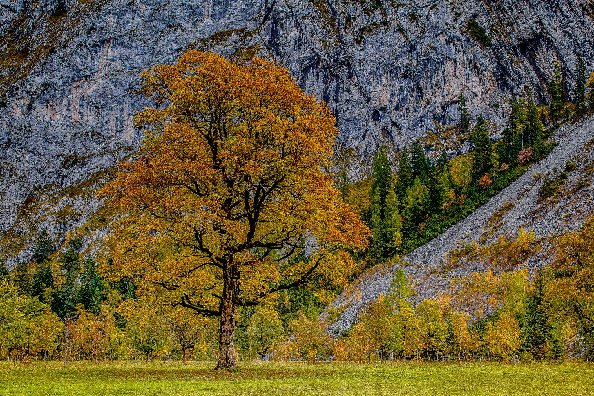 austria, Mountains, Autumn, Trees, Hdr, Alps, Karwendel, Nature Wallpaper
