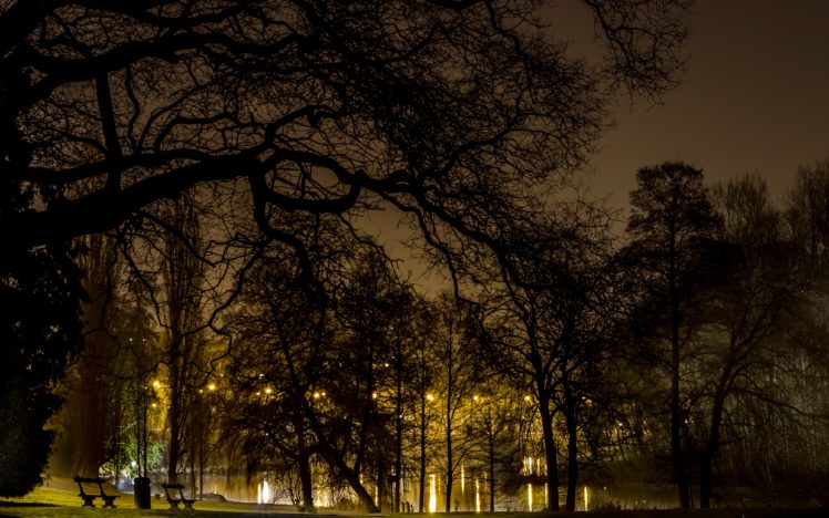 belgium, Parks, Trees, Night, Brussels, Nature HD Wallpaper Desktop Background
