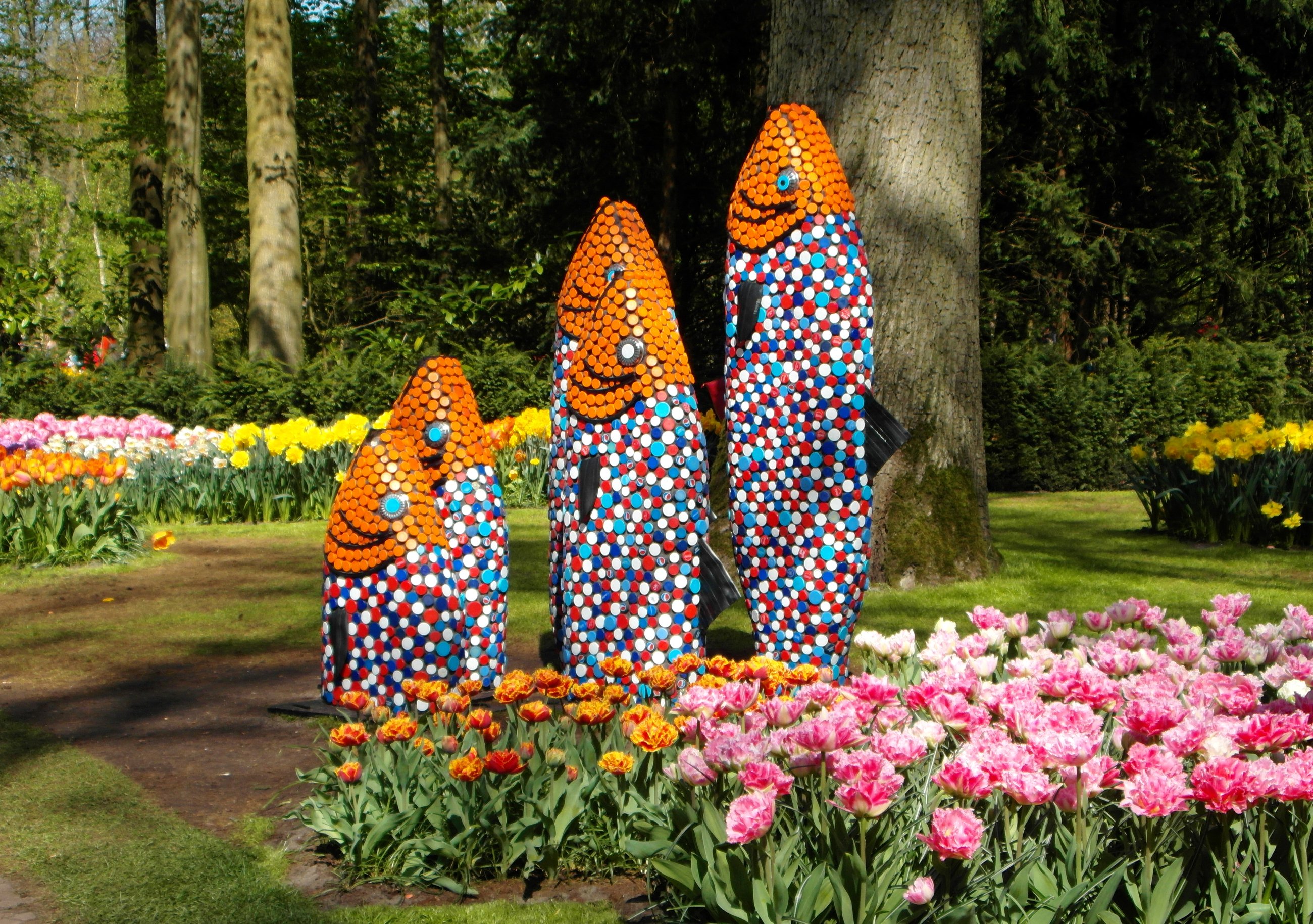 germany, Parks, Tulips, Fish, Grugapark, Essen, Nature Wallpaper
